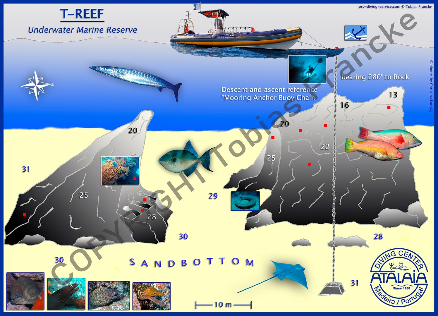T-Reef_ADC_Copyright_800